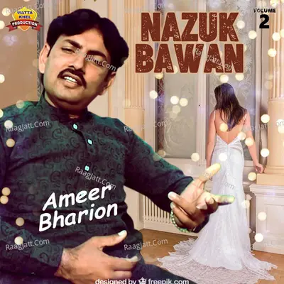 Nazuk Bawan, Vol. 2 - Ameer Bharion