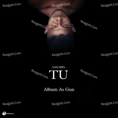Tu (Album As Gun) Cover
