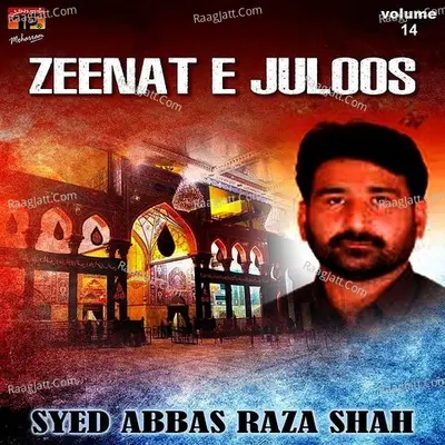 Zeenat E Juloos, Vol. 14 - Syed Abbas Raza Shah