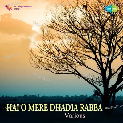 Hai O Mere Dadeya Raba Surinder Kaur