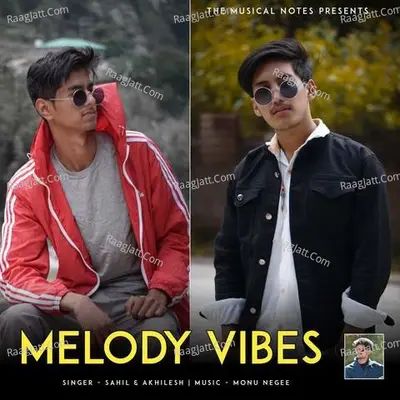Melody Vibes Cover