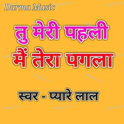 Tu Meri Pahali Me Tera Pagala