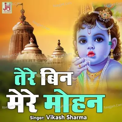 Tere Bin Mere Mohan Cover