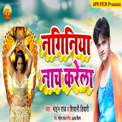 Shivani Tiwari Image
