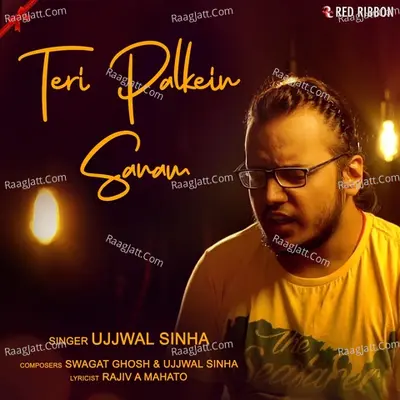 Teri Palkein Sanam Cover