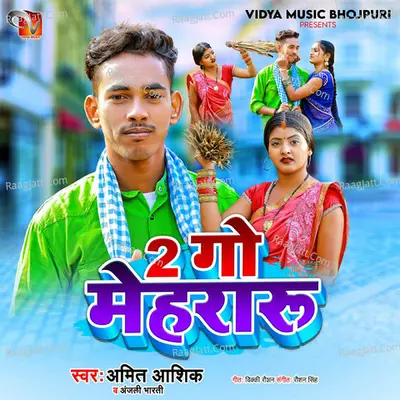 2 Go Mehraru
