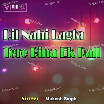 Dil Nahi Lagta Tere Bina Ek Pall Cover