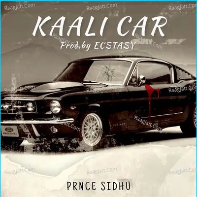 Kaali Car Cover