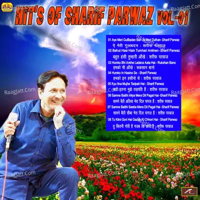 Hitâ€™s Of Sharif Parwaz Vol-01 Poster