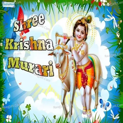 Shree Krishna Murari - Vandit Chhadva