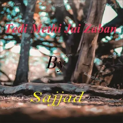 Sajjad Image