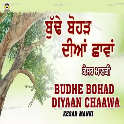 Budhe Bohad Diyaan Chaawa