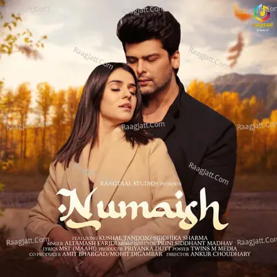 Numaish Cover