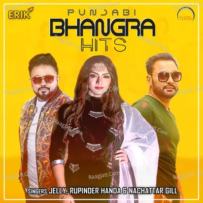 Punjabi Bhangra Hits Poster