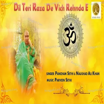 Dil Teri Raza De Vich Rehnda E Cover