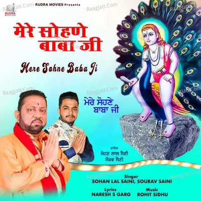 Mere Sohne Baba Ji Cover