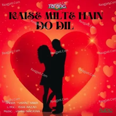 Kaise Milte Hain Do Dil Cover