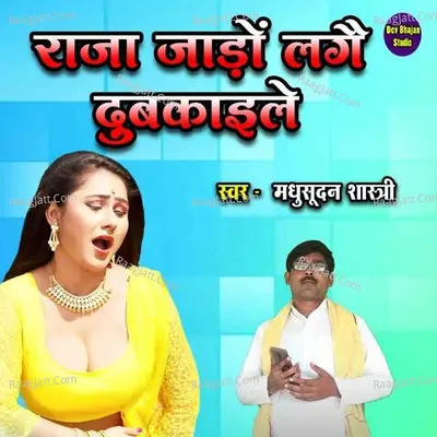 Raja Jado Lage Dubkaile Cover