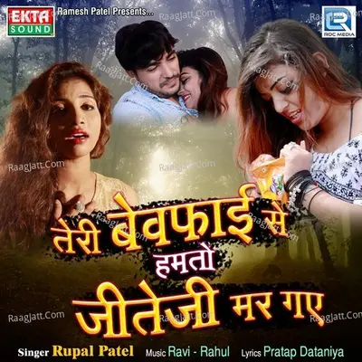 Teri Bewafai Se Humto Jiteji Mar Gaye Cover