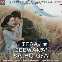 Tera Deewana Sa Ho Gya
