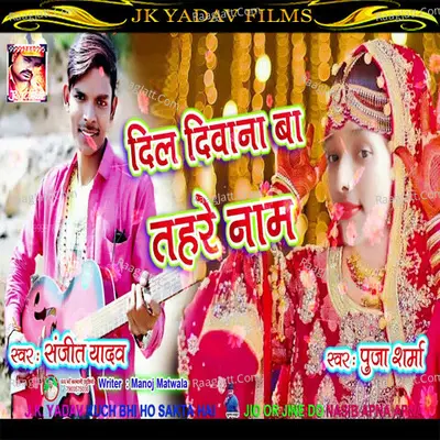 Dil Diwana Ba Cover