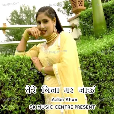 Tere Bina Mar Jaaun Cover
