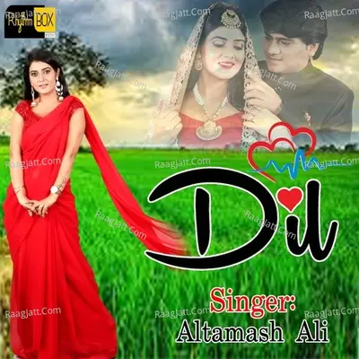 Dil