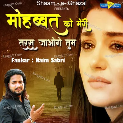 Mohabbat Ko Meri Taras Jaoge Tum Cover
