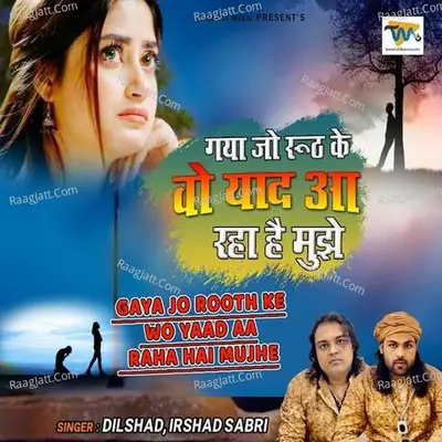 Gaya Jo Rooth Ke Wo Yaad Aa Raha Hai Mujhe Cover