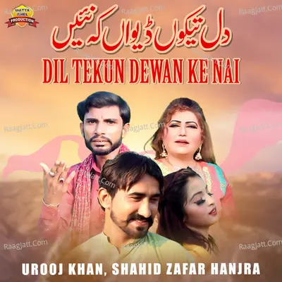 Dil Tekun Dewan Ke Nai - Single Cover