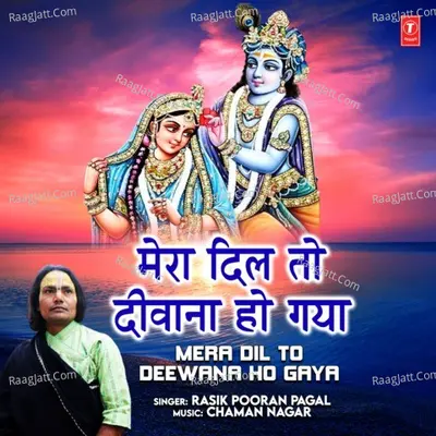 Mera Dil To Deewana Ho Gaya Cover