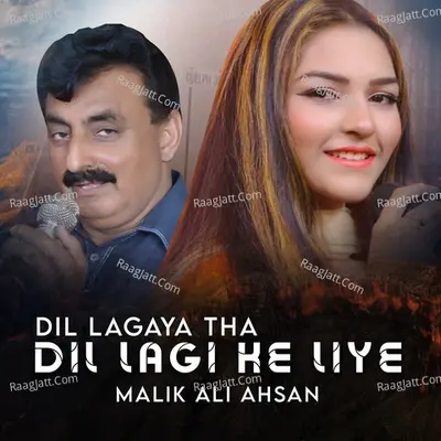 Dil Lagaya Tha Dil Lagi Ke Liye Cover
