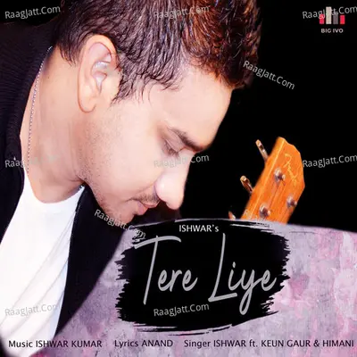 Tere Liye Cover