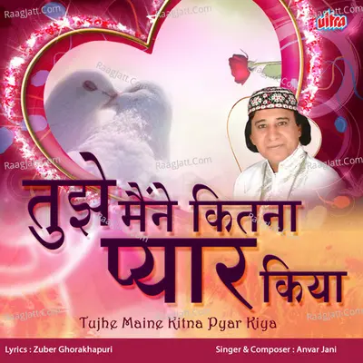 Tujhe Maine Kitna Pyar Kiya Poster