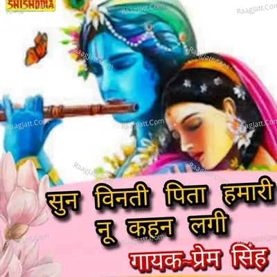 Sun vinti pita hamari nu kahan lagi Cover