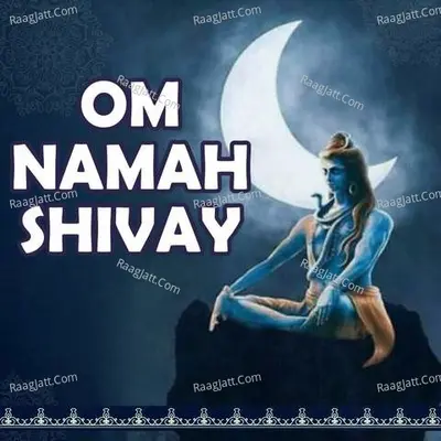 Om Namah Shivay Cover