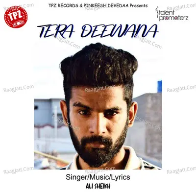 Tera Deewana