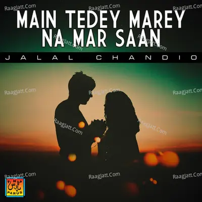Main Tedey Marey Na Mar Saan Poster