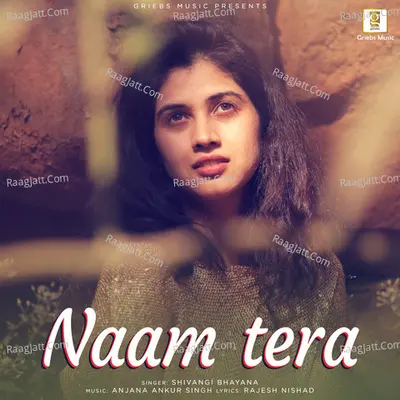 Naam Tera Cover