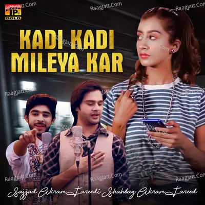 Shahbaz Akram Fareedi