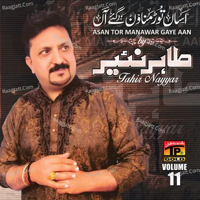 Assan Toor Manawan Gaye Haan, Vol. 11 Poster