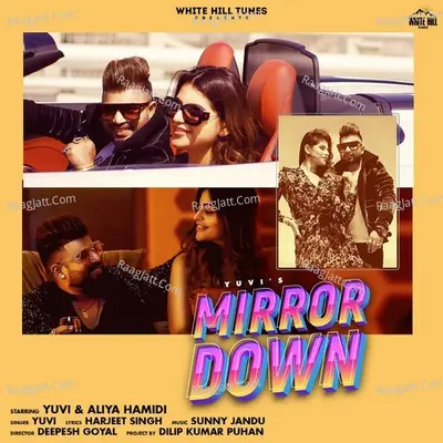 Mirror Down