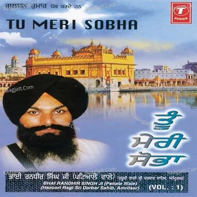 Tu Meri Shobha Poster