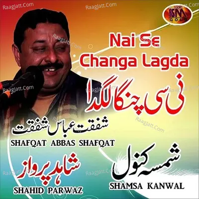 Nai Se Changa Lagda, Vol. 20 Poster