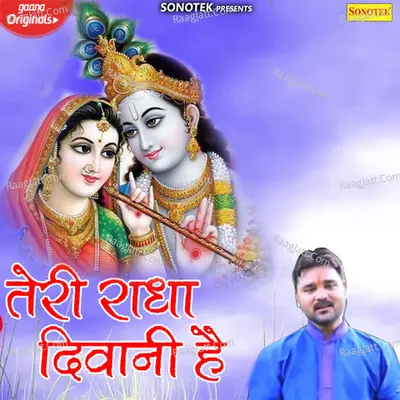 Teri Radha Diwani Hai Cover