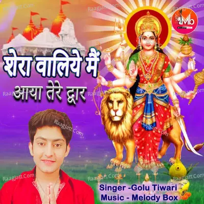 Shera waliye main aaya tere dwar Cover