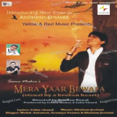 Mera Yaar Bewafaa Poster