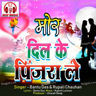 Mor Dil Ke Pinjra Le Cover