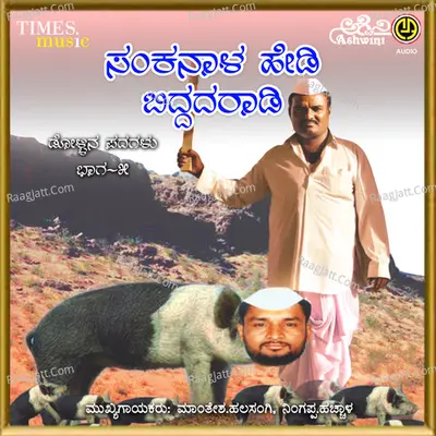 Sankanala Hedi Biddada Raadi Poster