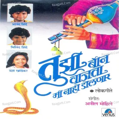 Tujhi Been Vajata Mi Nahi Dolnaar - Anand Shinde